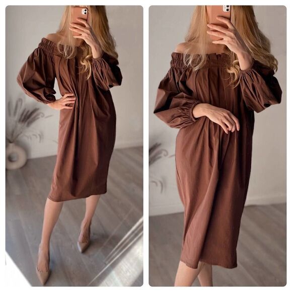 Zara Pleated Dress Balloon Sleeves Brown New - Picture 1 of 8